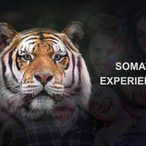 Taller: Somatic Experiencing® en Grupos