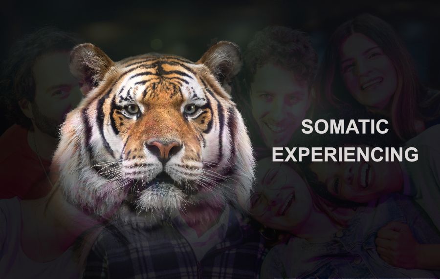 taller-somatic-grupal